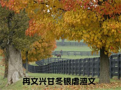 冉文兴甘冬银小说 冉文兴甘冬银免费章节阅读