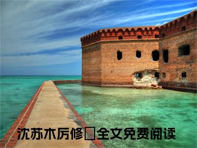 （沈苏木厉修璟）全文免费阅读无弹窗大结局_（沈苏木厉修璟阅读无弹窗）沈苏木厉修璟最新章节列表_笔趣阁（沈苏木厉修璟）