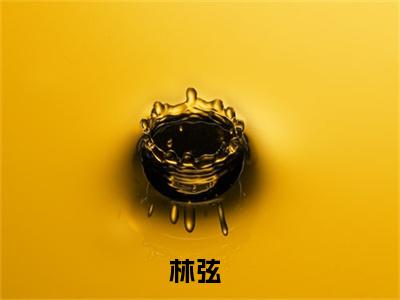 林弦小说（天才俱乐部）全文免费阅读大结局_（林弦）天才俱乐部小说免费阅读无弹窗