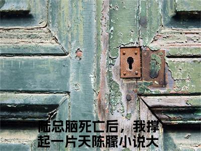 陆总脑死亡后，我撑起一片天陈朦免费阅读最新章节无弹窗 陆总脑死亡后，我撑起一片天陈朦完整版小说在线阅读