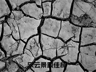 宋云景顾佳林（宋云景顾佳林）全文免费阅读大结局-（宋云景顾佳林）最新章节阅读