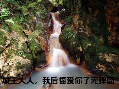 城主大人，我后悔爱你了（白瑚南风赭）全文免费阅读无弹窗大结局_城主大人，我后悔爱你了完整版在线阅读章节列表_笔趣阁