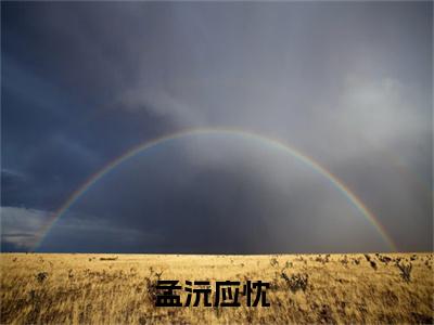 孟沅应忱免费阅读（孟沅应忱）全文免费阅读无弹窗大结局_孟沅应忱免费阅读最新章节列表_笔趣阁（孟沅应忱）