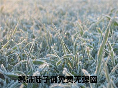 黎沫陆子谦小说免费阅读-黎沫陆子谦全文小说全章节阅读