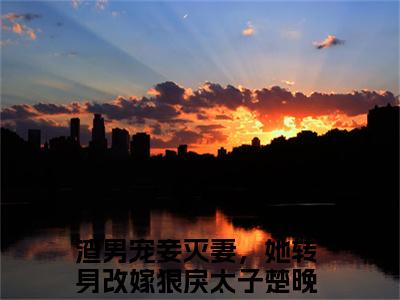 (番外)+(全文)渣男宠妾灭妻，她转身改嫁狠戾太子楚晚棠小说免费下载阅读渣男宠妾灭妻，她转身改嫁狠戾太子楚晚棠小说最新章节列表_笔趣阁（渣男宠妾灭妻，她转身改嫁狠戾太子楚晚棠）