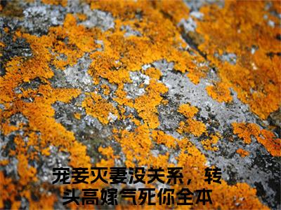 宠妾灭妻没关系，转头高嫁气死你（林姝妍萧景禛）小说最后结局-（林姝妍萧景禛）完结版免费阅读