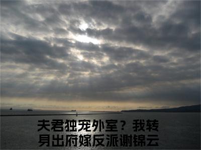 夫君独宠外室？我转身出府嫁反派谢锦云热门小说（夫君独宠外室？我转身出府嫁反派谢锦云）最新章节阅读-夫君独宠外室？我转身出府嫁反派谢锦云小说最后结局如何