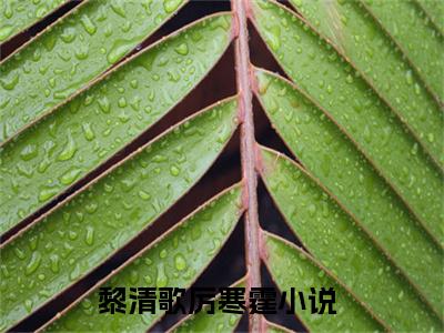 黎清歌厉寒霆小说最新章节（黎清歌厉寒霆）全文免费阅读无弹窗大结局_黎清歌厉寒霆小说（黎清歌厉寒霆小说：黎清歌厉寒霆）