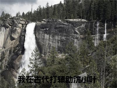 我在古代打辅助沈小叶（我在古代打辅助沈小叶小说）全文免费阅读无弹窗大结局_(我在古代打辅助沈小叶小说免费阅读全文大结局)最新章节列表_笔趣阁（我在古代打辅助沈小叶）
