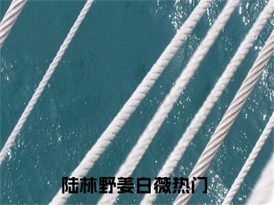 陆林野姜白薇是什么小说-姜白薇陆林野免费小说在线阅读