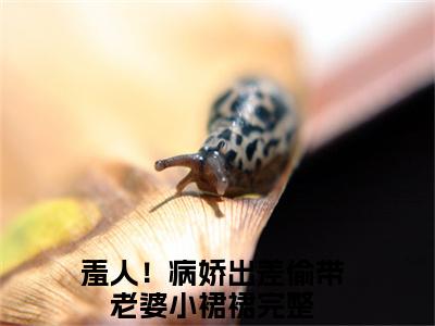 乔洇温苏河全文免费阅读无弹窗大结局_（羞人！病娇出差偷带老婆小裙裙）最新章节列表_笔趣阁（乔洇温苏河小说）