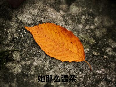 祁柏川季瑶小说热门章节免费阅读_祁柏川季瑶最新章节列表_笔趣阁