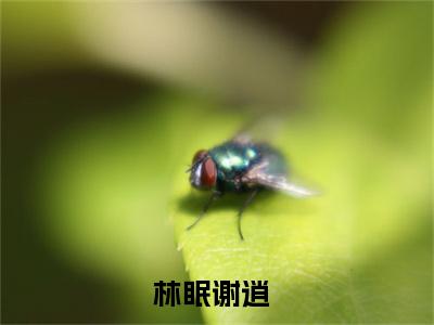 领证了，但不熟为领证了，但不熟的小说叫什么-最新小说林眠谢逍全文阅读
