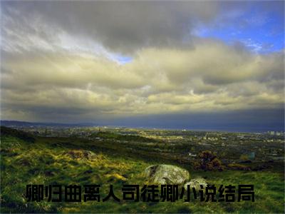 卿归曲离人司徒卿小说完整版大结局-卿归曲离人司徒卿小说完结版在线阅读