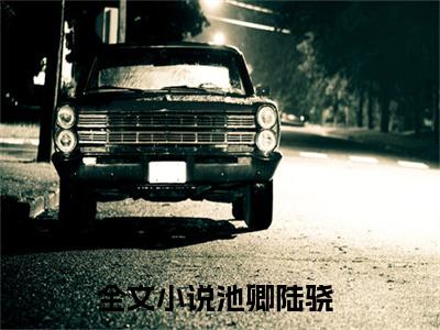 池卿陆骁（池卿陆骁）免费阅读无弹窗大结局-池卿陆骁（池卿陆骁）全文无错版阅读无弹窗