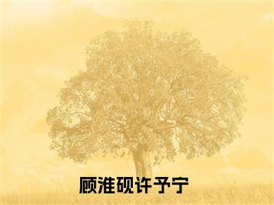 小说《顾淮砚许予宁》全文免费阅读无弹窗-顾淮砚许予宁小说全文在线赏析