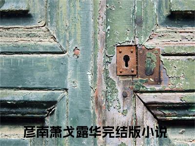 彦南萧戈露华（彦南萧戈露华）全文免费大结局小说-彦南萧戈露华全文最新章节阅读