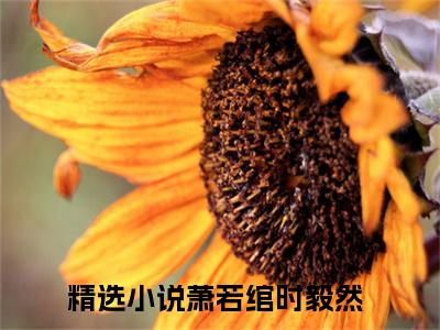 萧若绾时毅然（萧若绾时毅然）全网首发最新小说-主角萧若绾时毅然全文在线免费阅读