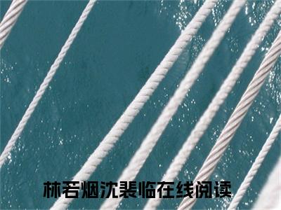 林若烟沈裴临后续+番外（林若烟沈裴临）全文免费阅读无弹窗大结局_林若烟沈裴临最新章节列表_笔趣阁（林若烟沈裴临后续+番外）