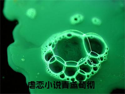 青鸢荀彻新上热文小说（青鸢荀彻）讲的是什么-青鸢荀彻全文完整版免费阅读