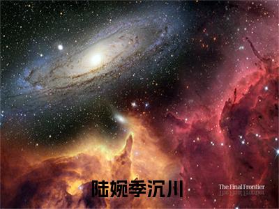 陆婉季沉川（陆婉季沉川）经典小说全文免费阅读无弹窗_（陆婉季沉川）小说全文免费阅读最新章节_笔趣阁