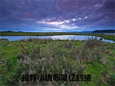 苏凝亿封绪(苏凝亿封绪)全文免费阅读无弹窗大结局_(苏凝亿封绪在线阅读)苏凝亿封绪最新章节列表笔趣阁（苏凝亿封绪）