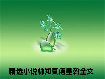 林知夏傅星翰小说（林知夏傅星翰）最新章节阅读-林知夏傅星翰免费阅读无弹窗大结局
