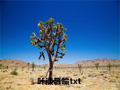 叶漾慕喻(叶漾慕喻)小说免费阅读-叶漾慕喻全文阅读-笔趣阁（叶漾慕喻）
