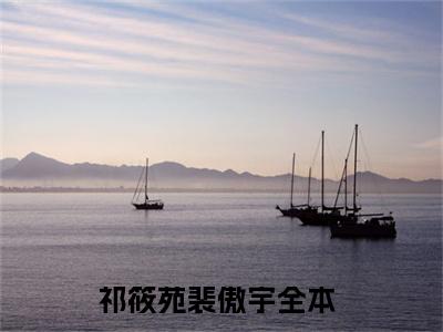 祁筱苑裴傲宇全文免费阅读_祁筱苑裴傲宇无弹窗最新章节