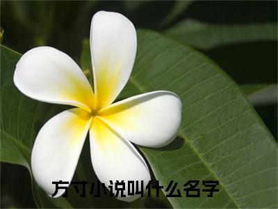 吞噬邪君（方寸）全文免费阅读无弹窗_（吞噬邪君全文免费阅读无弹窗）吞噬邪君最新章节列表