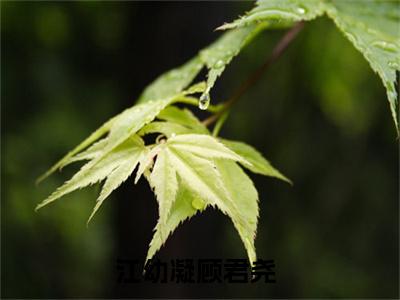 江幼凝顾君尧小说在哪里可以看江幼凝顾君尧在线阅读