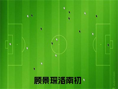 顾景琛洛南初正版小说全文阅读-顾景琛洛南初小说免费阅读