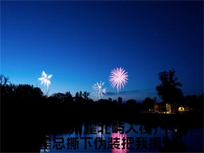 秦姜月霍北屿入夜，霍总撕下伪装把我摁墙上亲老书虫推荐小说免费阅读_（秦姜月霍北屿）完整版全文在线赏析