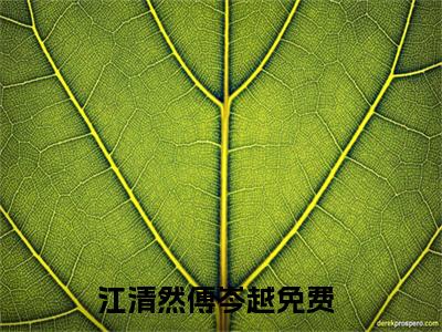 江清然傅岑越小说（江清然傅岑越）全文免费阅读无弹窗_江清然傅岑越全文免费阅读无弹窗最新章节列表
