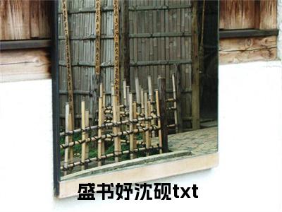 精选好书盛书妤沈砚全文免费阅读无弹窗大结局_（盛书妤沈砚）最新章节列表_笔趣阁（盛书妤沈砚小说）