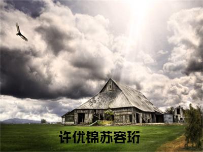 小说免费阅读-抖音新书热荐许优锦苏容珩