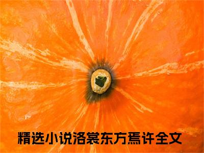 美文洛裳东方焉许大结局小说-小说（洛裳东方焉许）免费分享