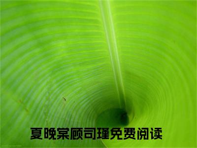 夏晚棠顾司瑾全文免费阅读（夏晚棠顾司瑾免费阅读无弹窗）夏晚棠顾司瑾精彩小说阅读_笔趣阁