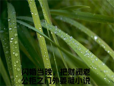 闪婚当晚，把财阀老公拒之门外姜凝后续+全集（闪婚当晚，把财阀老公拒之门外姜凝）全文免费阅读无弹窗大结局_闪婚当晚，把财阀老公拒之门外姜凝后续+全集免费阅读_笔趣阁（闪婚当晚，把财阀老公拒之门外姜凝后续+全集）