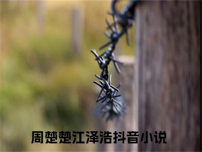 周楚楚江泽浩后续+全集（周楚楚江泽浩）全文免费阅读无弹窗大结局_（周楚楚江泽浩后续+全集免费阅读无弹窗）周楚楚江泽浩后续+全集最新章节列表_笔趣阁（周楚楚江泽浩）