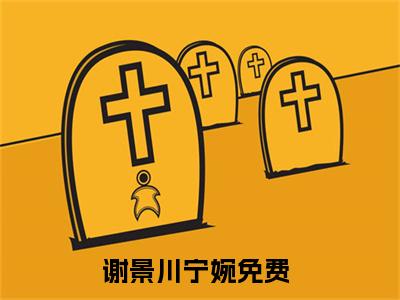 谢景川宁婉小说（谢景川宁婉）无弹窗大结局- 谢景川宁婉全文阅读