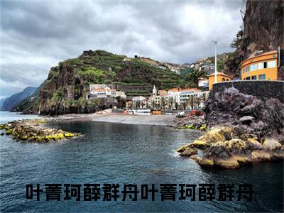 叶菁珂薛群舟在线阅读（叶菁珂薛群舟小说）全文免费阅读无弹窗大结局_叶菁珂薛群舟免费最新章节列表