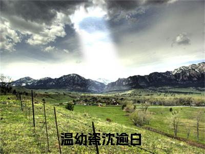 温幼瓷沈逾白小说（温幼瓷沈逾白）全文免费阅读无弹窗大结局_（温幼瓷沈逾白免费阅读全文大结局）最新章节列表