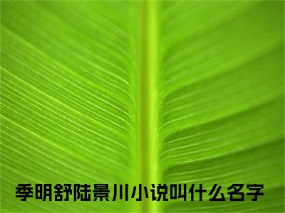 季明舒陆景川小说在线阅读-主角叫季明舒陆景川的小说（季明舒陆景川）完整版免费阅读全文