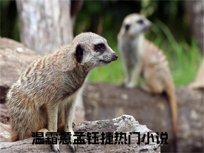 温霜意孟钰捷（温霜意孟钰捷）全文免费阅读无弹窗大结局_温霜意孟钰捷_笔趣阁（温霜意孟钰捷）