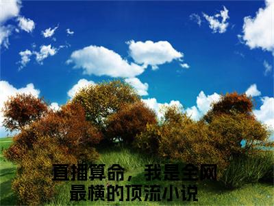 苏闻溪秦之简（直播算命，我是全网最横的顶流）全文免费阅读无弹窗_苏闻溪秦之简全文免费阅读无弹窗最新章节列表笔趣阁