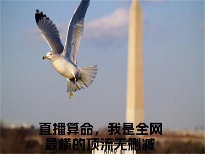 直播算命，我是全网最横的顶流小说免费阅读直播算命，我是全网最横的顶流小说在哪里可以看