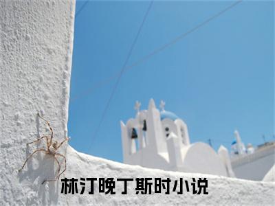 (热推新书)林汀晚丁斯时完整版免费小说无弹窗阅读_林汀晚丁斯时最新章节列表_笔趣阁（林汀晚丁斯时）