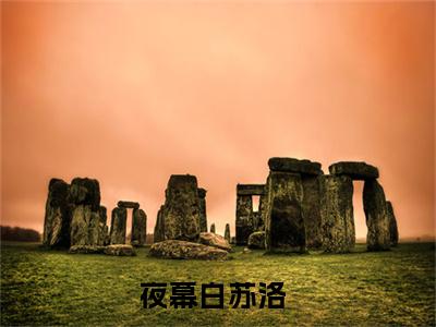 夜幕白苏洛小说(夜幕白苏洛)全文免费夜幕白苏洛读无弹窗大结局_(夜幕白苏洛小说免费阅读)