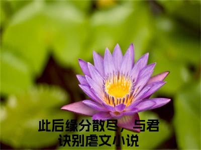 主角为此后缘分散尽，与君诀别的小说（江延沈向晚）大结局免费阅读-江延沈向晚全文免费阅读笔趣阁